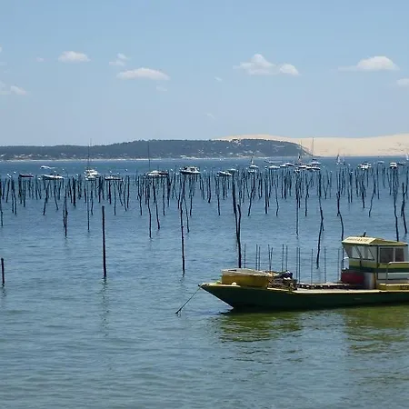 Bed and breakfast Alluro *